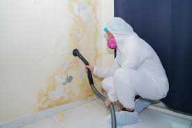 Best Mold Prevention Services  in Eton, GA